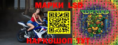 стаф Кунгур