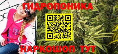 стаф Кунгур