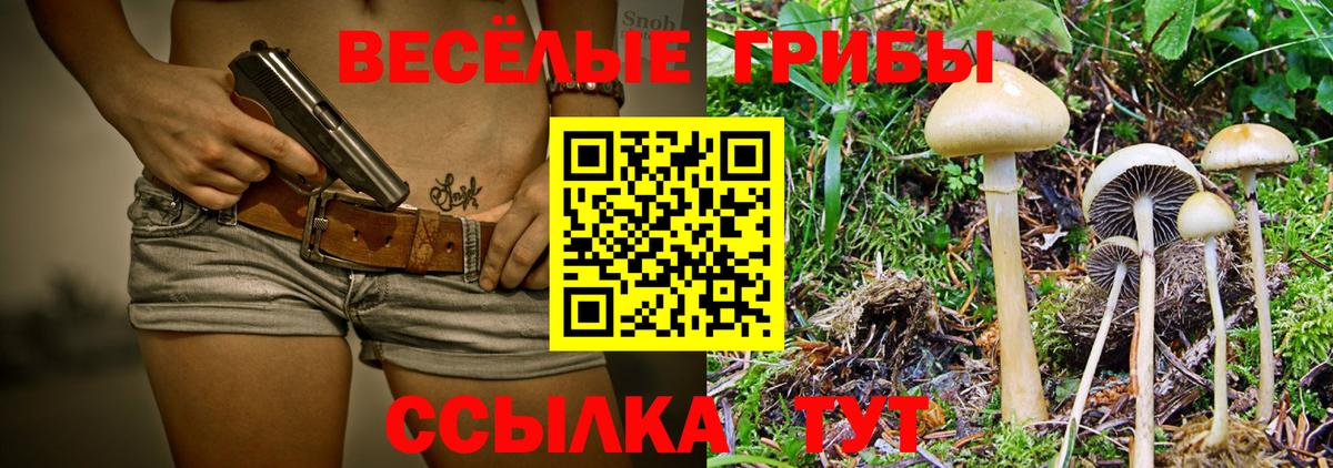 Псилоцибиновые грибы ЛСД Клин