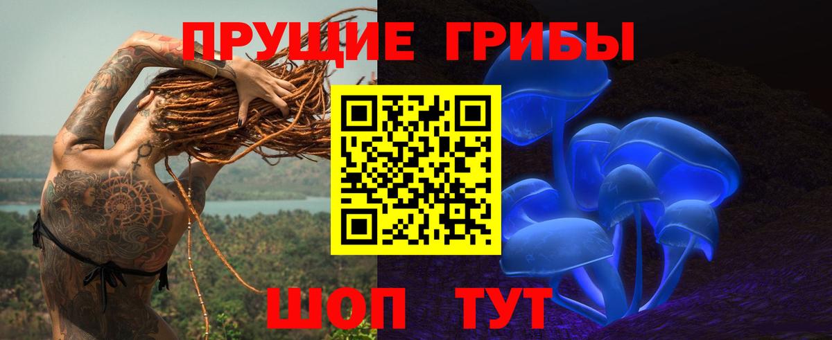 Клин  Псилоцибиновые грибы Cubensis  наркота  Вход с VPN  Псилоцибиновые грибы GOLDEN TEACHER 